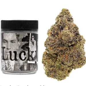 Lucky Weed Strain
